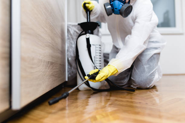 Best Affordable Pest Control Services  in Riverside, OH