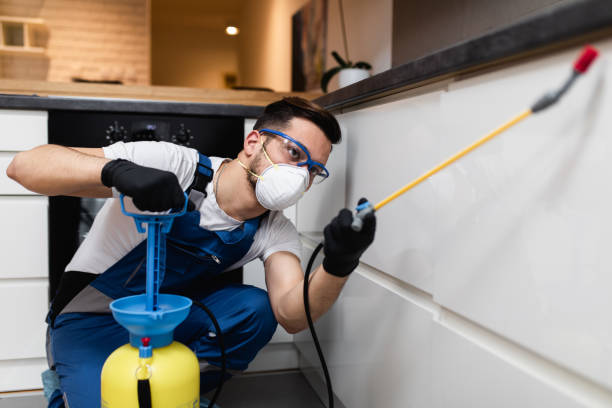 Best Termite Control Services  in Riverside, OH