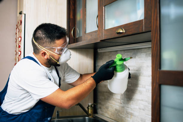 Best Affordable Pest Control Services  in Riverside, OH