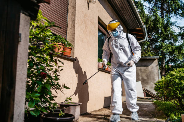 Best Pest Removal Services  in Riverside, OH