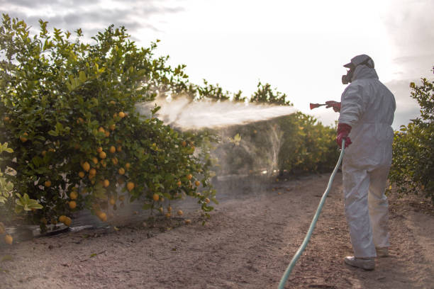 Best Emergency Pest Control  in Riverside, OH