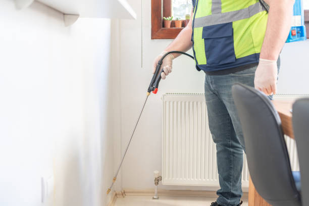 Best Termite Control Services  in Riverside, OH