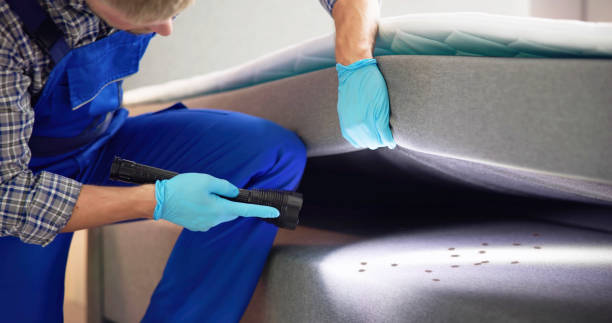 Best Residential Pest Control  in Riverside, OH