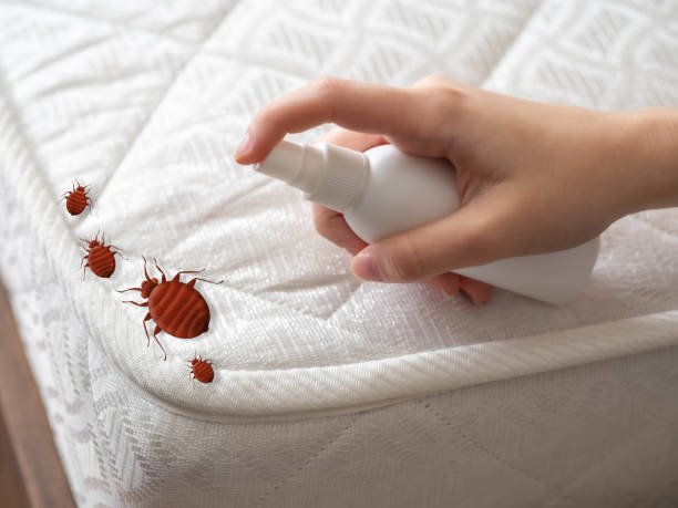 Best Residential Pest Control  in Riverside, OH