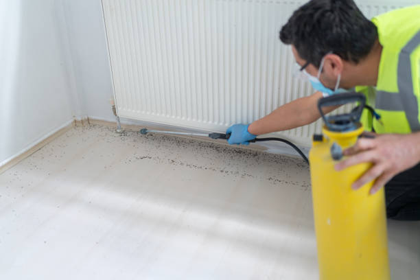 Best Affordable Exterminators  in Riverside, OH