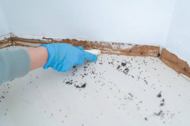 Best Cockroach Control Services  in Riverside, OH