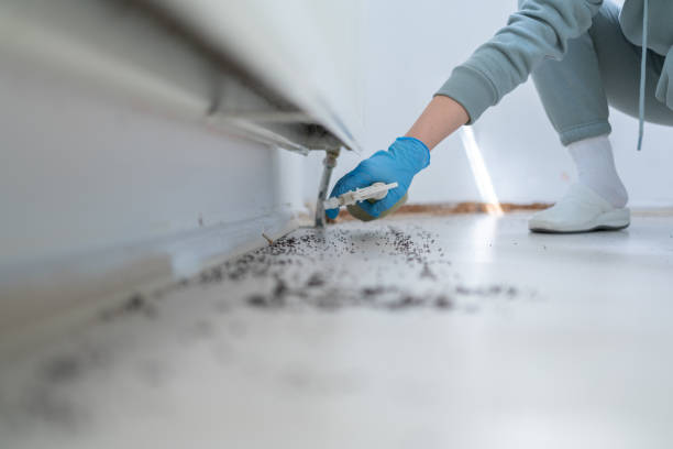 Best Flea Control Services  in Riverside, OH