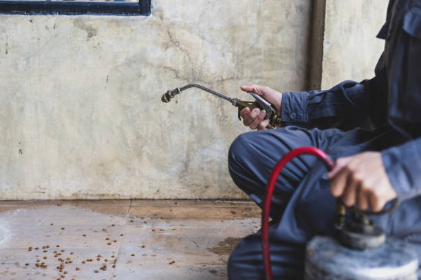 Best Emergency Pest Control  in Riverside, OH